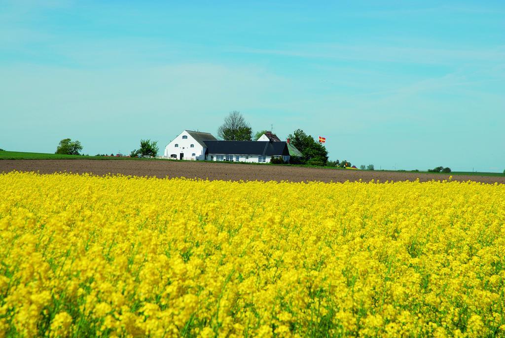 Vallebergaslaett Löderup Zewnętrze zdjęcie